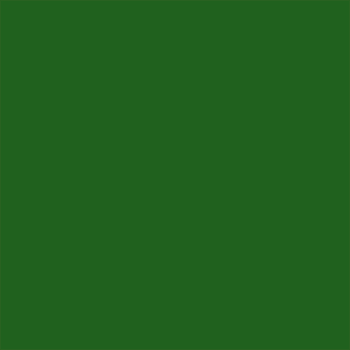 Stealth Paint Matched Side Window Overlays - 2021+ Bronco 4 Door