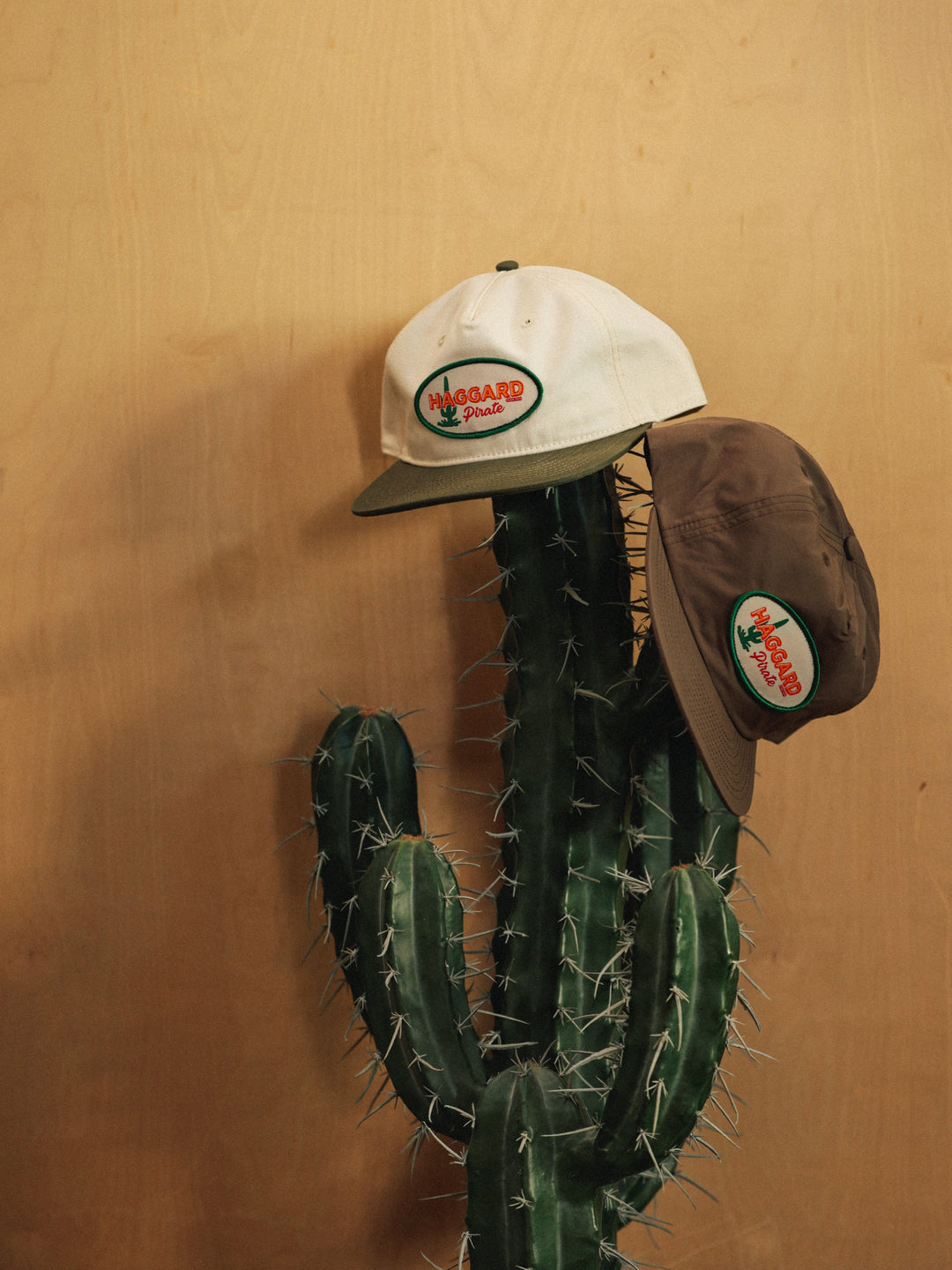 Cactus Co. Unstructured Hat
