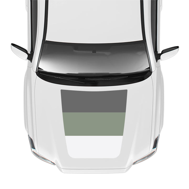 2016-23 Tacoma Off-Road/SR5 Hood Stamp