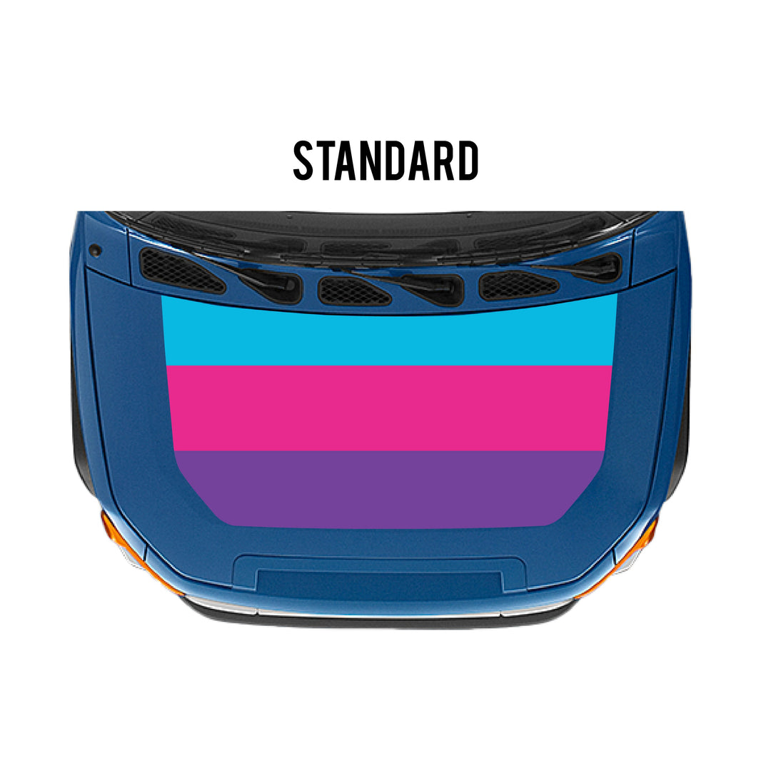 2007-14 FJ Cruiser Checkered Stripe Kit