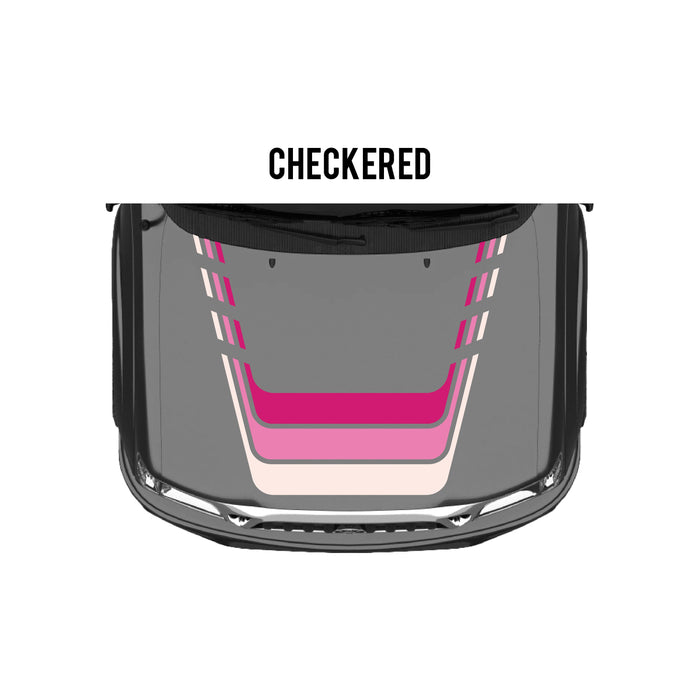 2001-04 Tacoma Checkered Stripe Kit