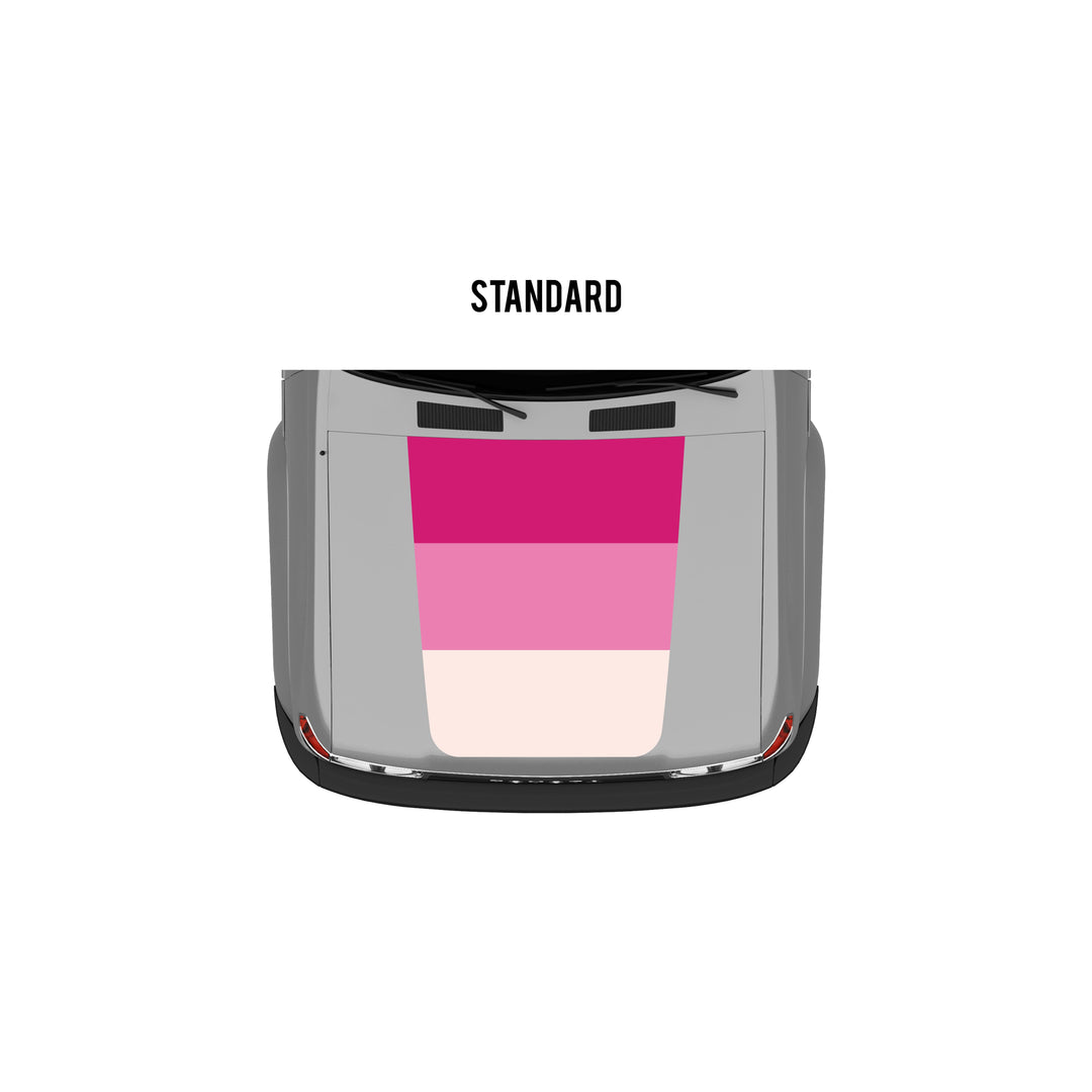 80 Series Land Cruiser Retro Stripes