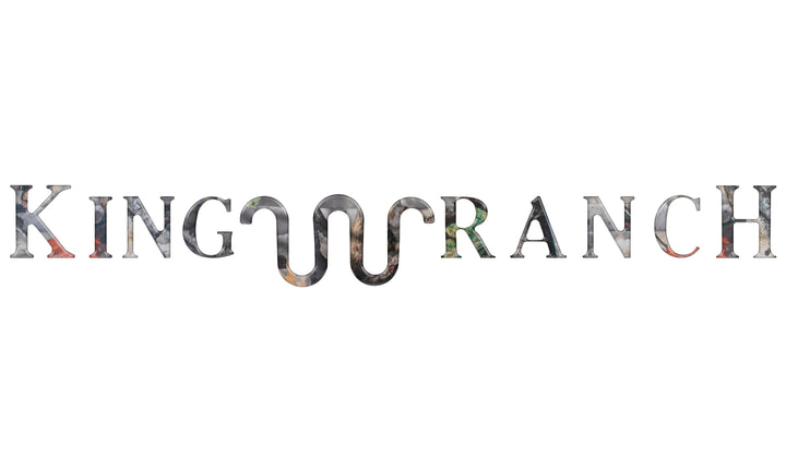 Tailgate Letter Inserts Fits 2020-2022 Ford Super Duty King Ranch