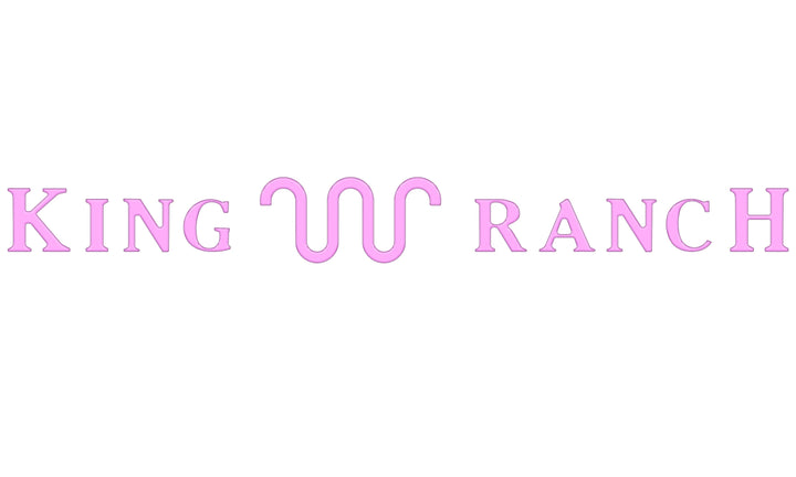 Tailgate Letter Inserts Fits 2023-2026 Ford Super Duty King Ranch