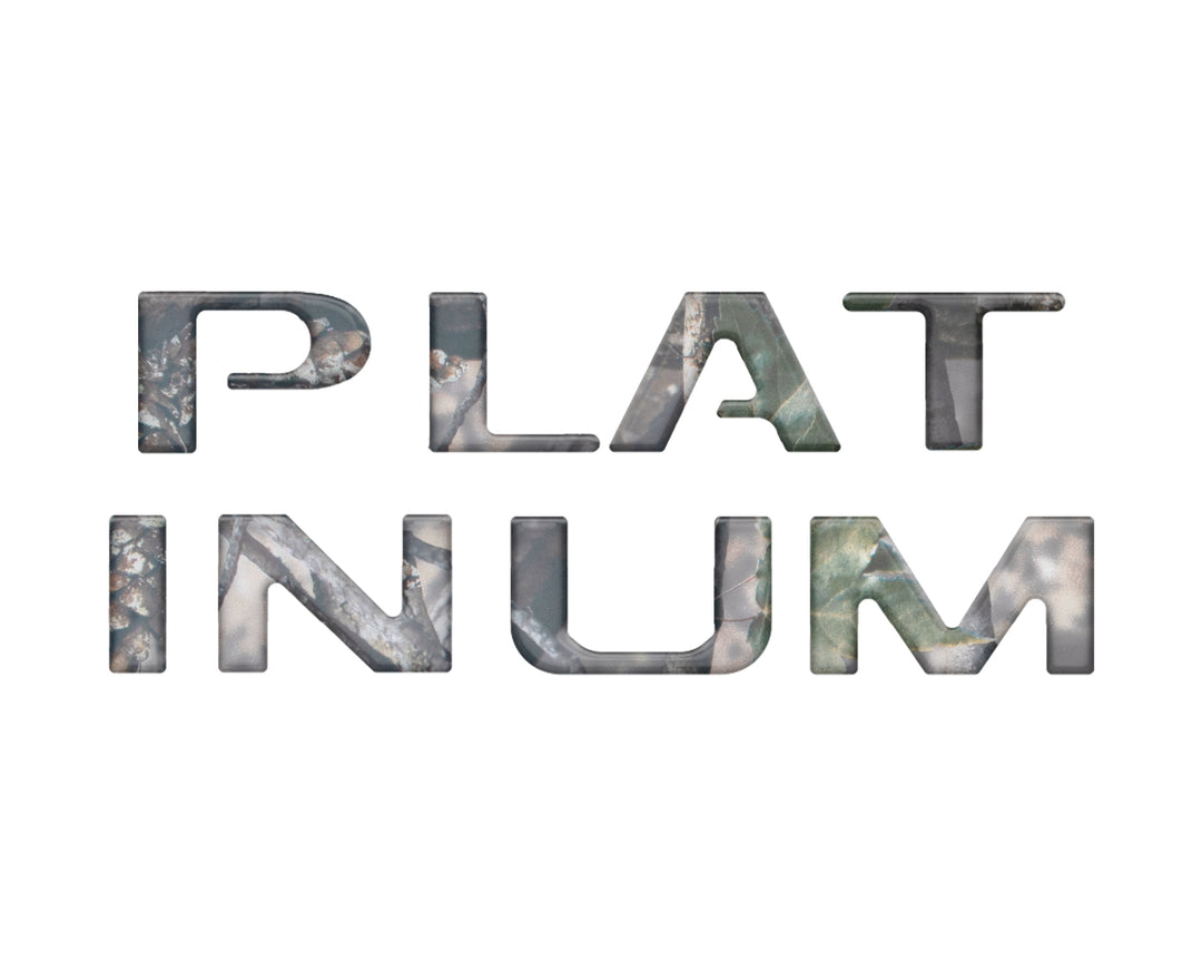 Platinum Tailgate Letter Inserts Fits 2023-2024 Ford Super Duty