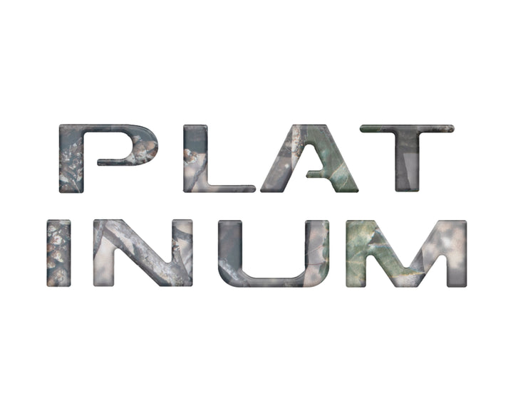 Platinum Tailgate Letter Inserts Fits 2023-2024 Ford Super Duty