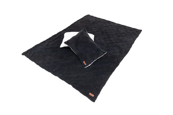 Cloud Comforter &amp; Pillow Case Set