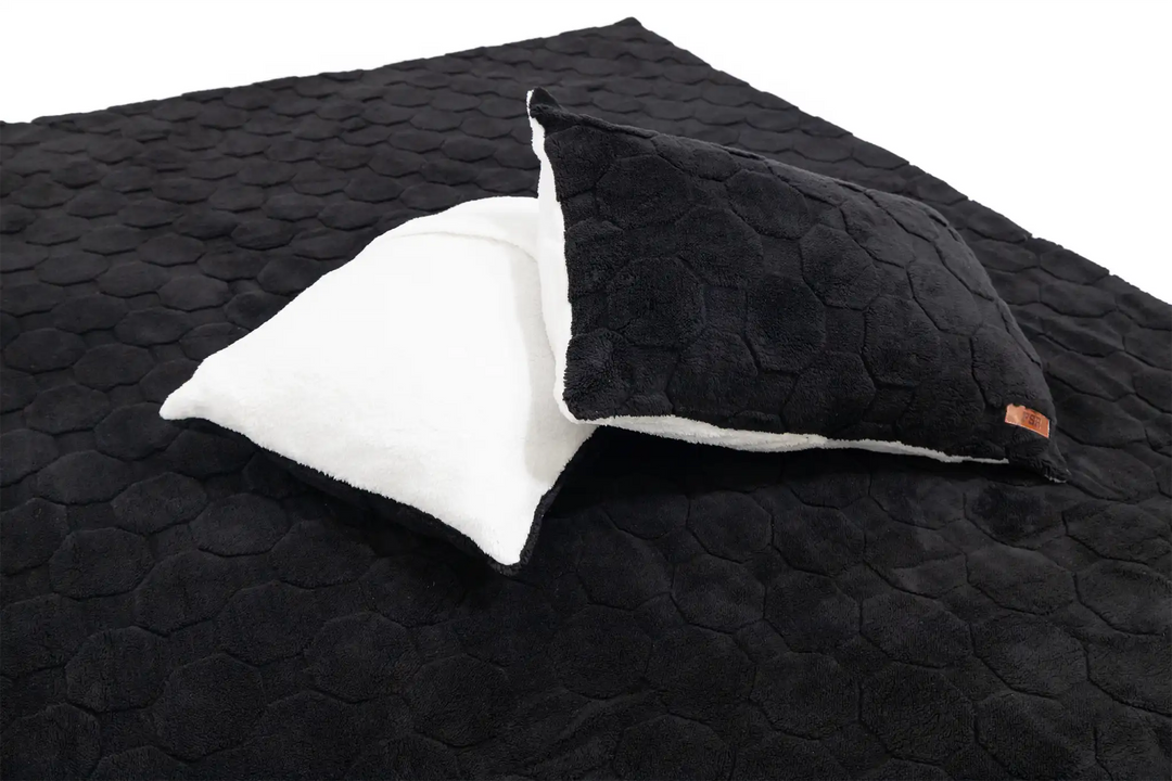 Cloud Comforter &amp; Pillow Case Set