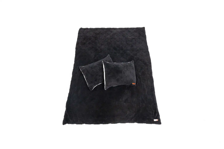 Cloud Comforter &amp; Pillow Case Set