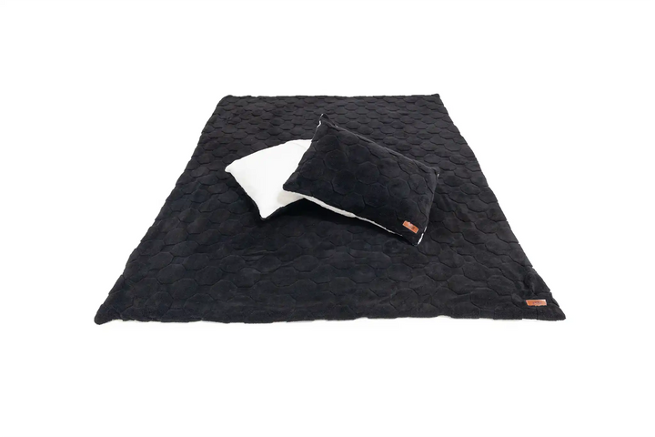 Cloud Comforter &amp; Pillow Case Set