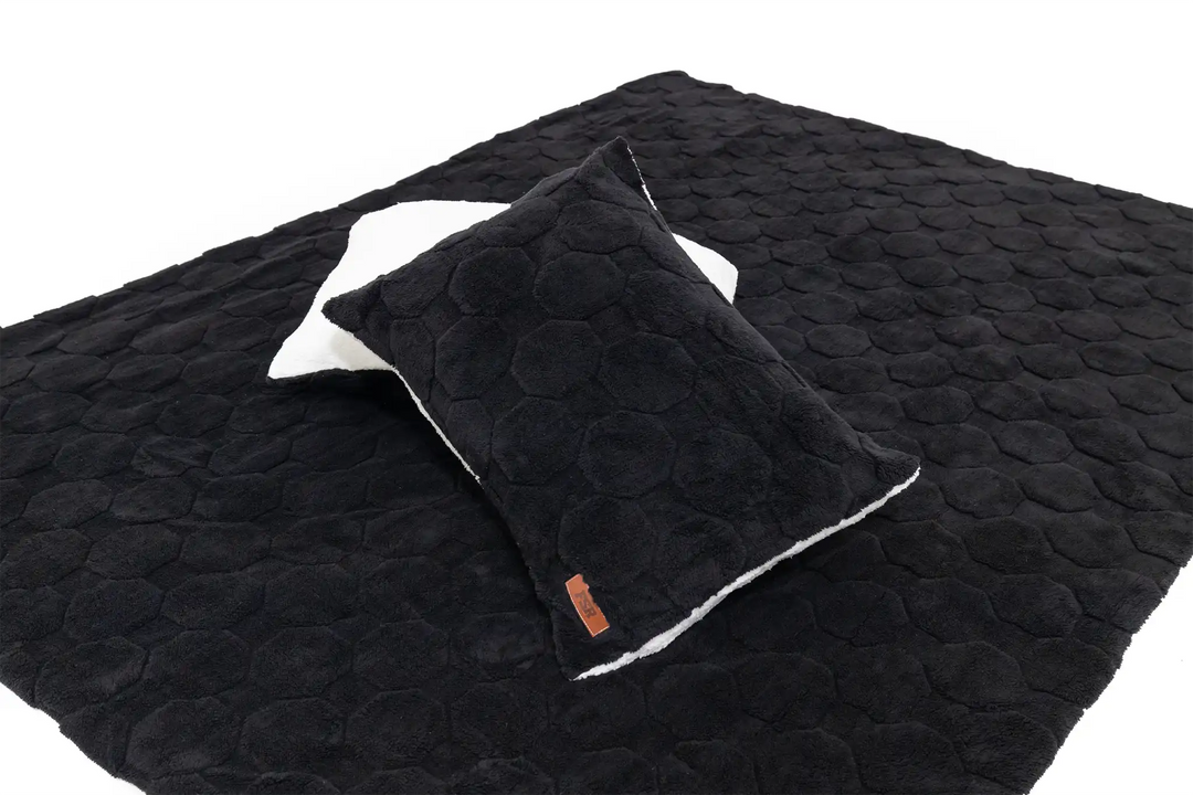 Cloud Comforter &amp; Pillow Case Set