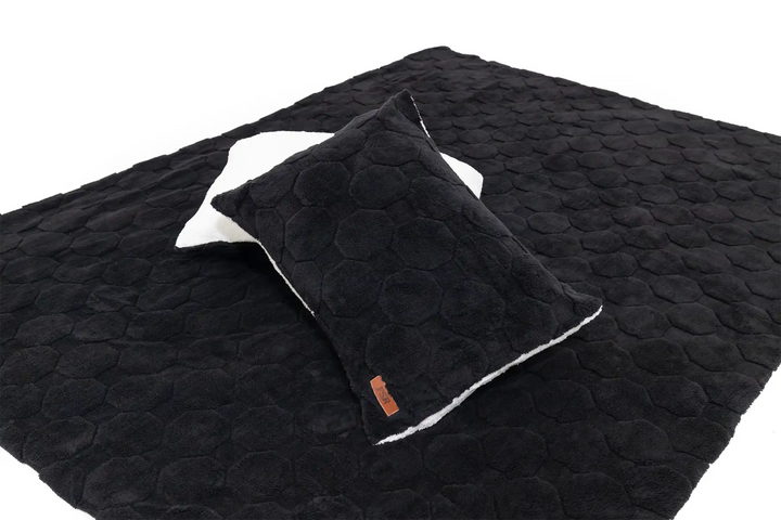 Cloud Comforter &amp; Pillow Case Set