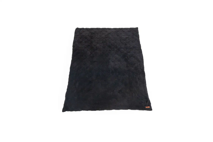 Cloud Comforter &amp; Pillow Case Set
