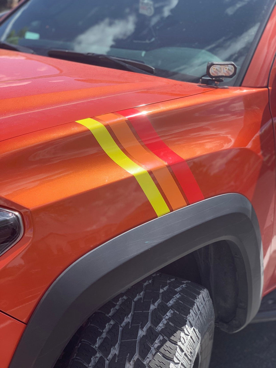 Medium Universal Stripes