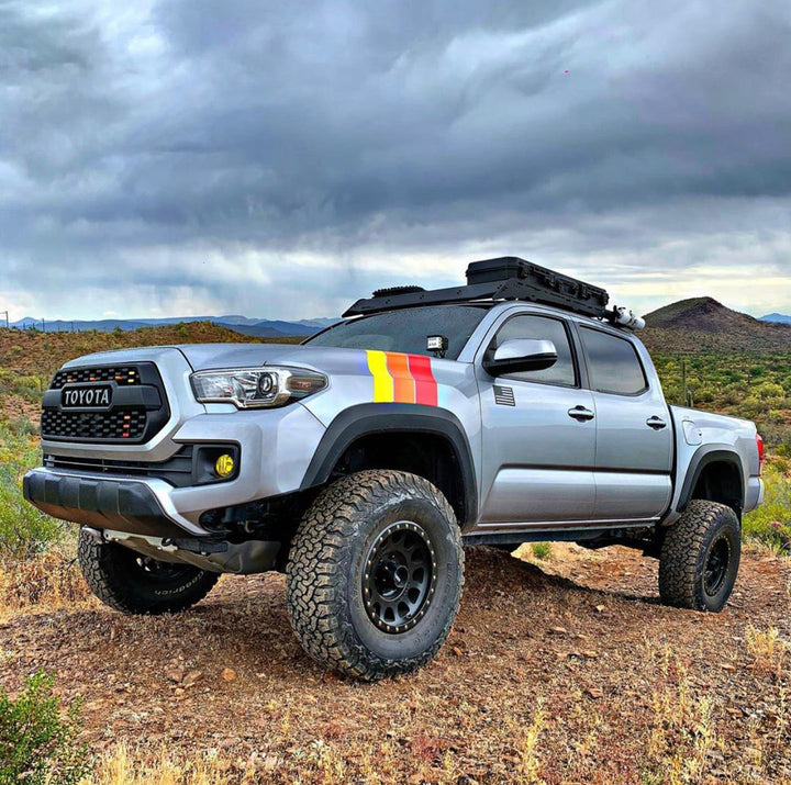 Large Universal Stripes